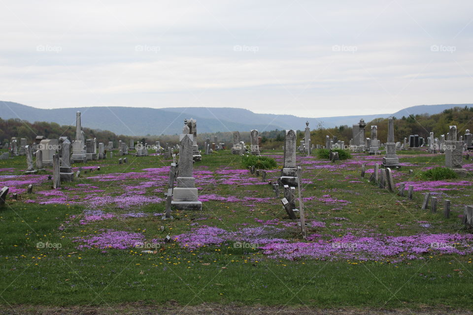 Mountain cemetery flowers