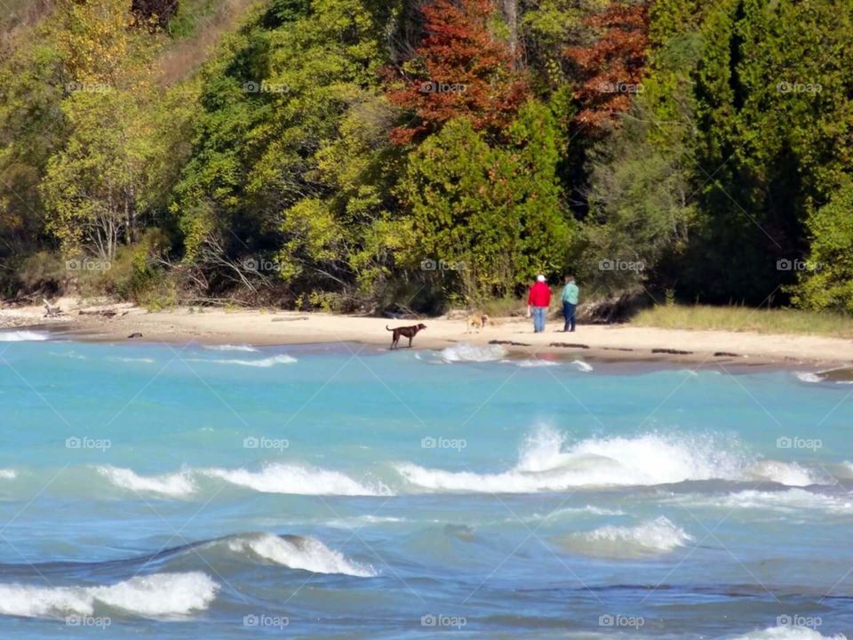 A little slice of heaven right here in Frankfort Michigan. a couple walking on the beach with their dog.  Life doesn't get much better than that.