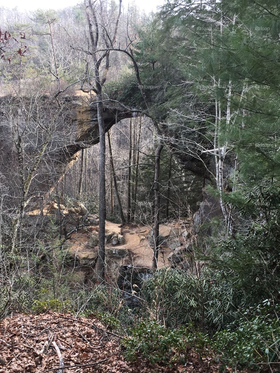 Red river gorge hiking trail.... greys arch