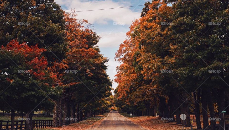 Enjoy country road in fall