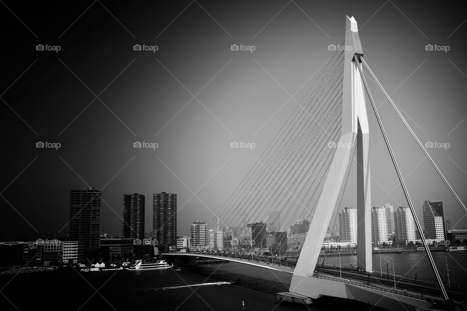 Black and White Erasmus Bridge
