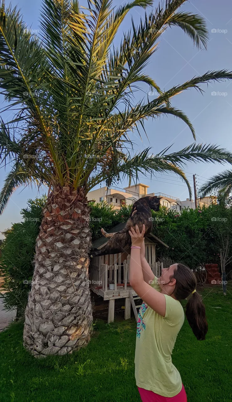 Flying Cat