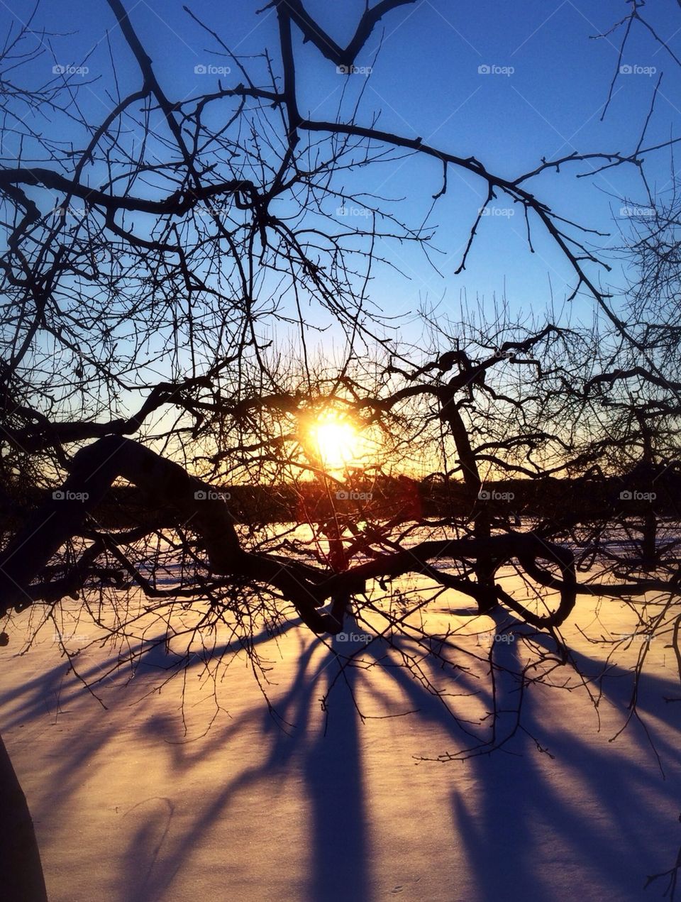 Heart-shaped sunset