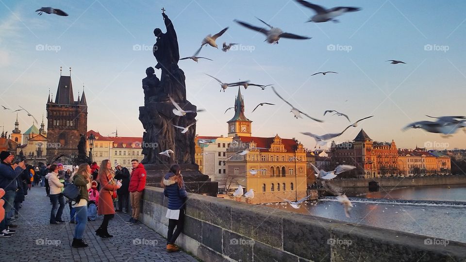 Famous Charles Bridge