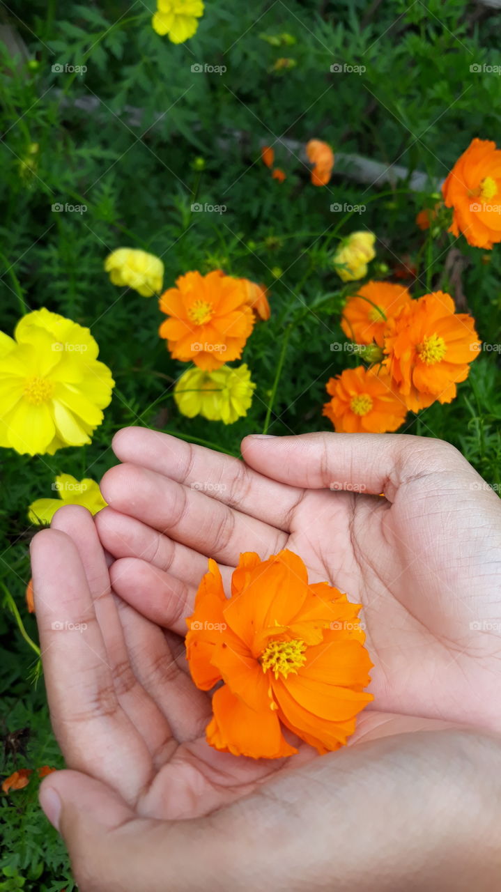 sometimes we have to blend with nature.