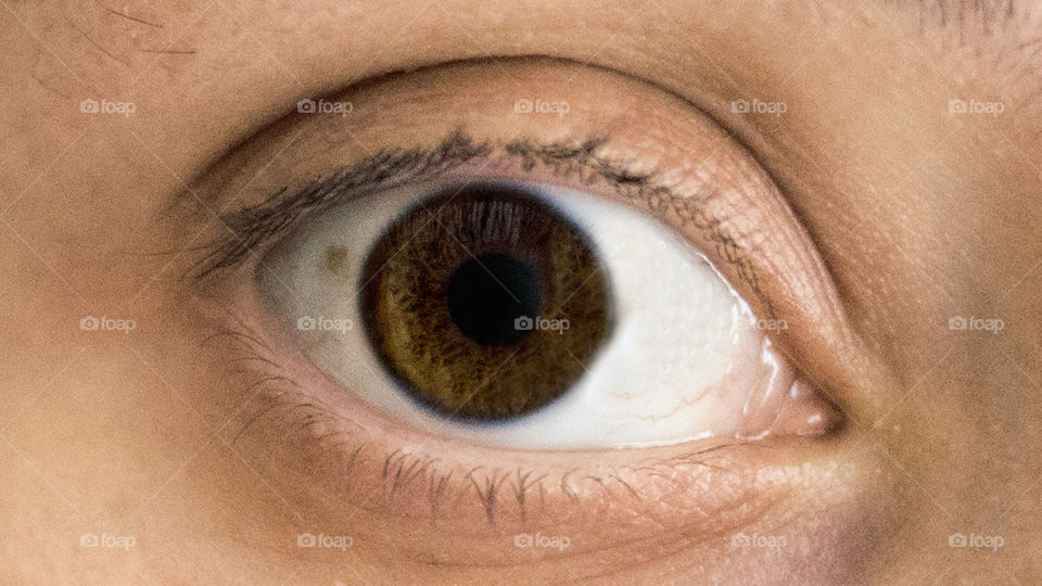 Extreme close-up of brown eye