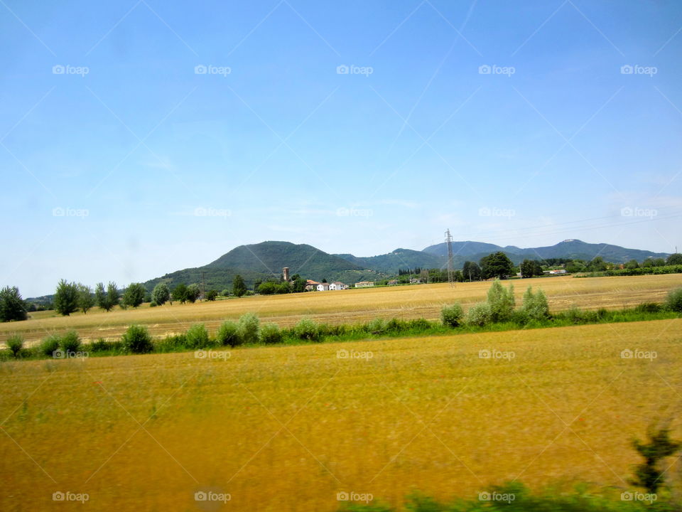 Landscape, No Person, Tree, Sky, Agriculture