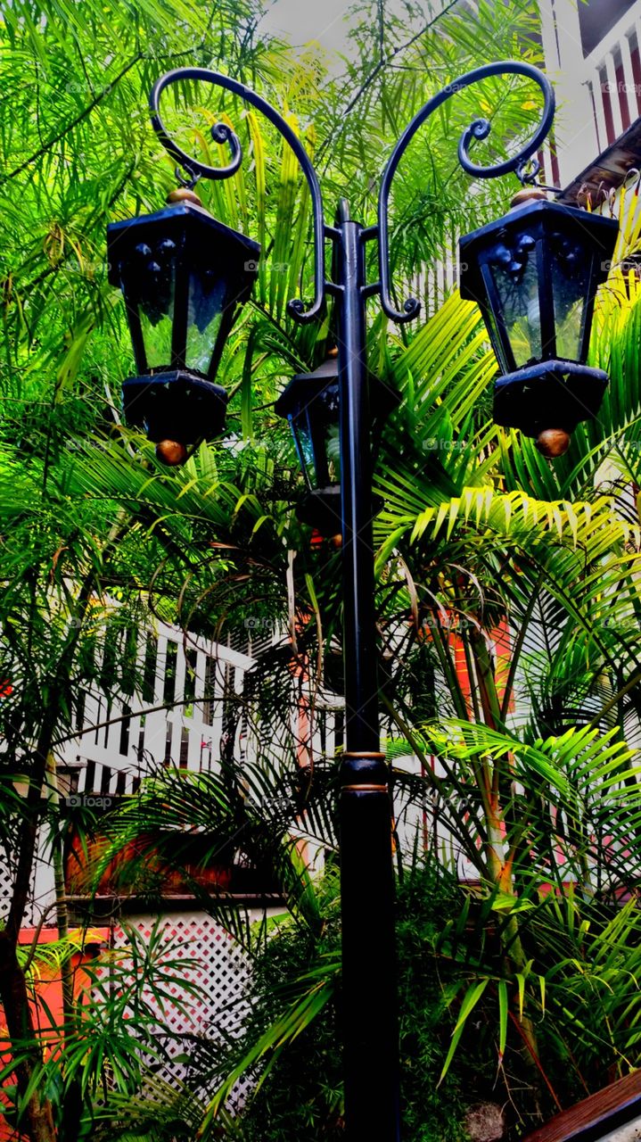 Street light on Graycliff grounds, Nassau Bahamas