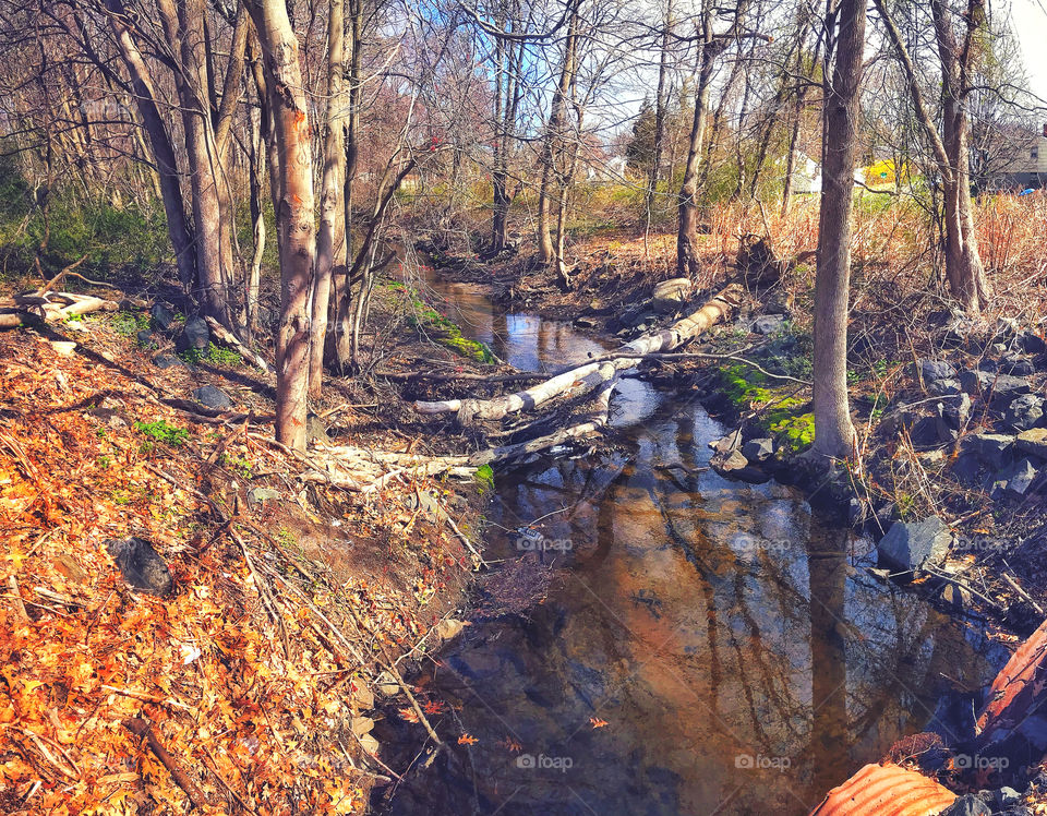 Bruce Brook in Stratford, CT