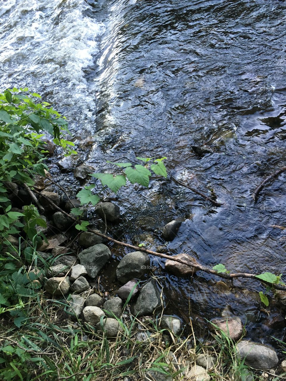 River by the trail