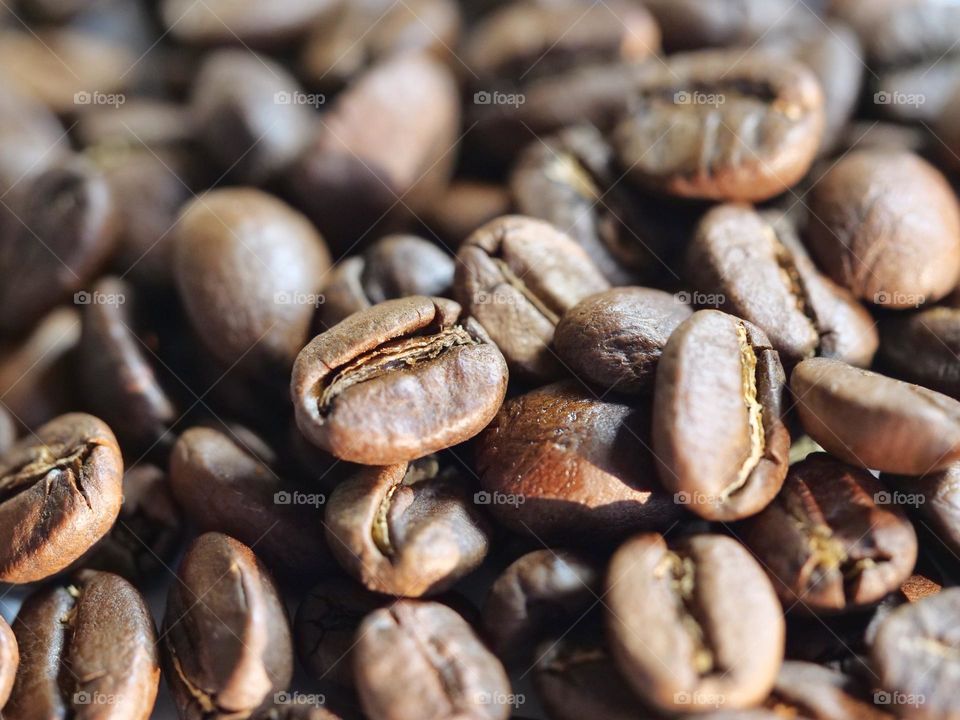 Close up of coffee beans