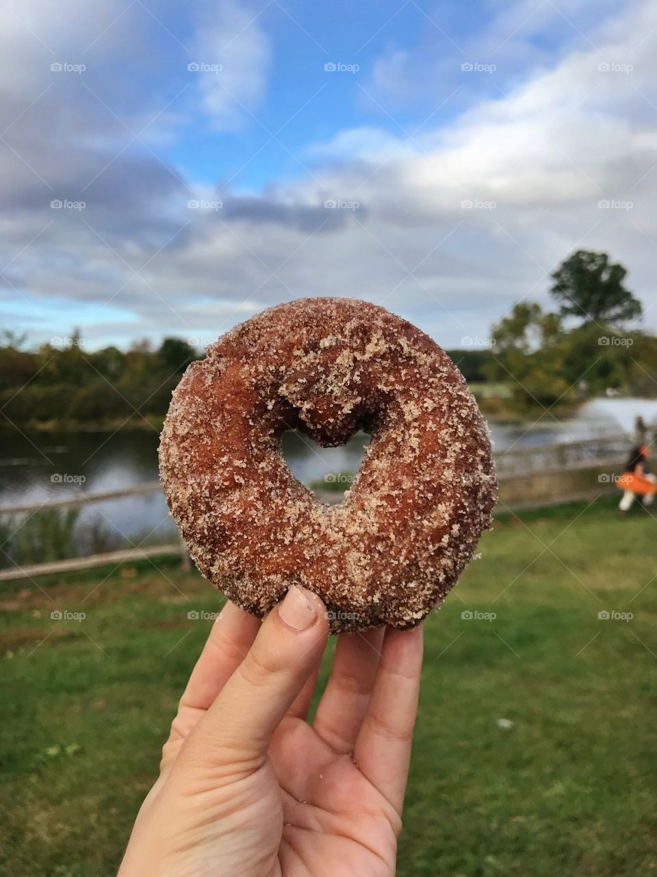 Who doesn't love a fresh apple cider donut in the fall??