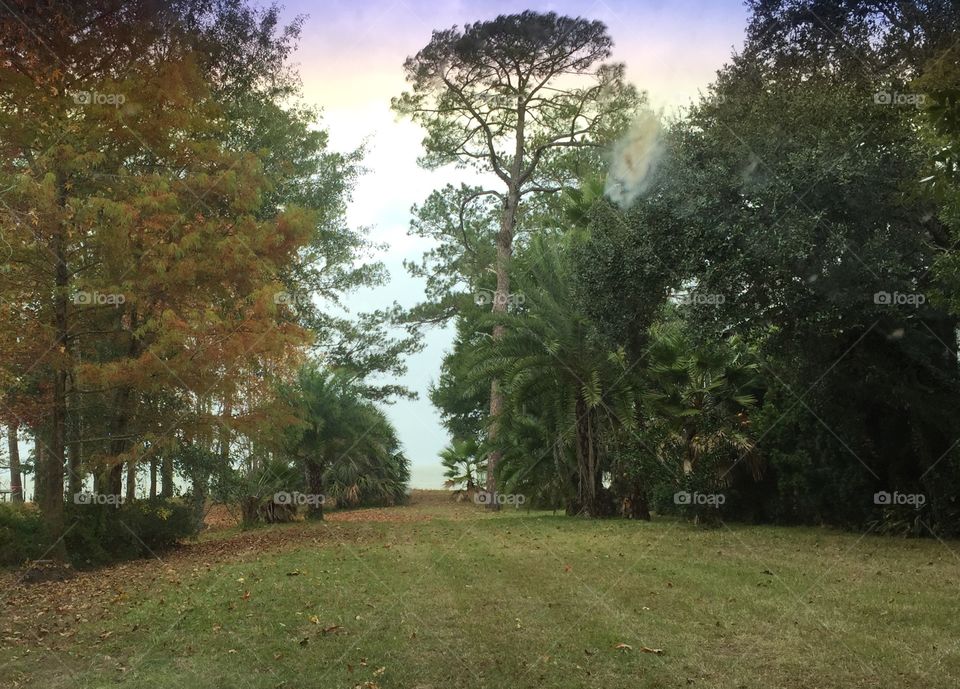 Looking towards the bay