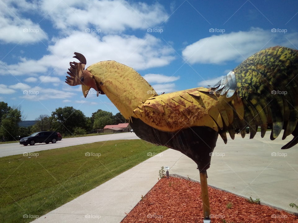 the rustic rooster watching people coming into his flea market and what a nice day.