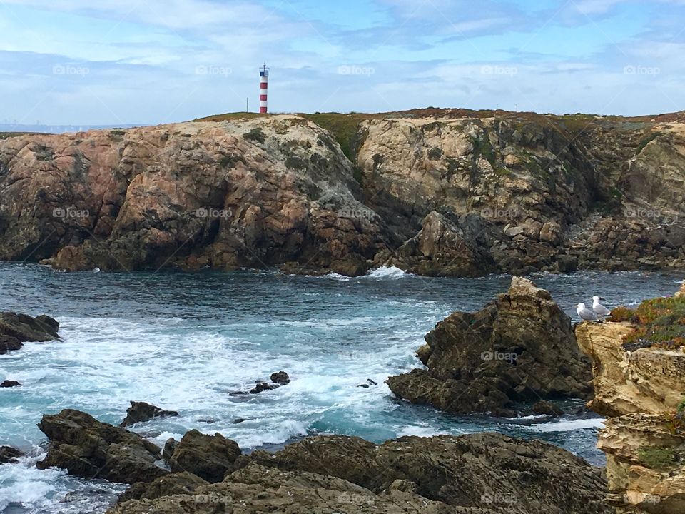 Lighthouse, seagull, Ocean, rocks 
