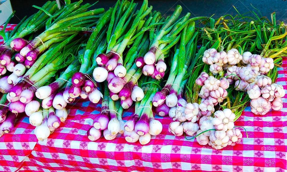 Farmers Market