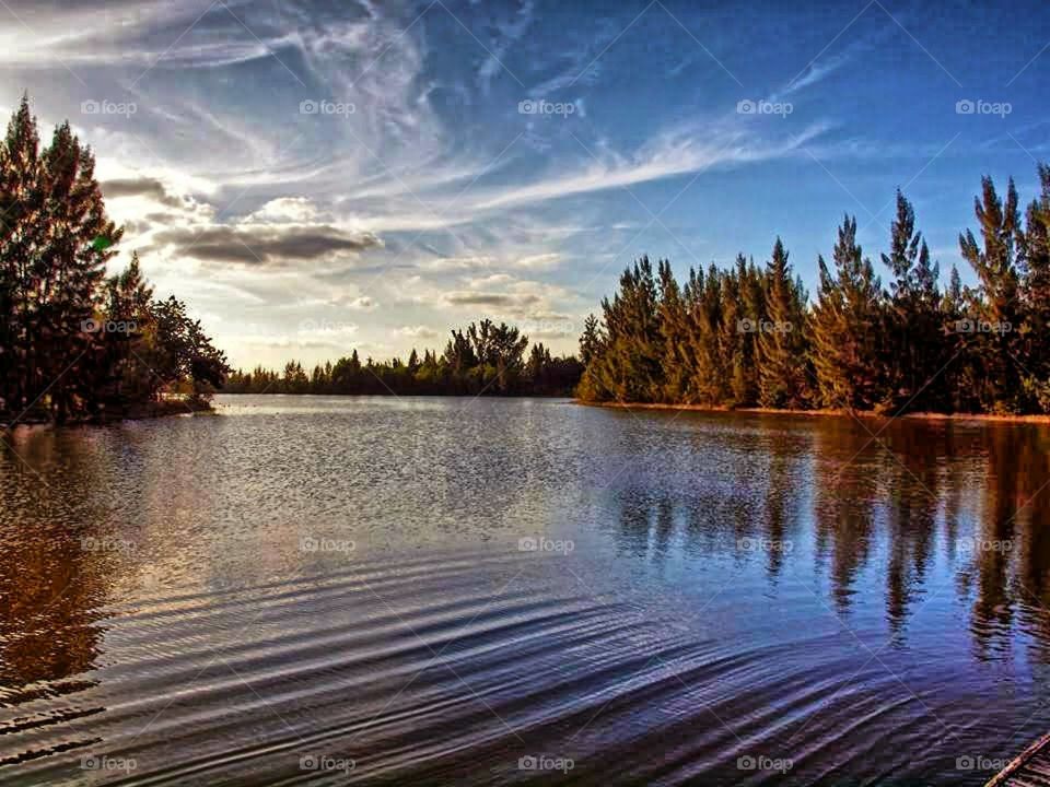 Lake's - Tropical Park- Miami Fl / Olympus E620