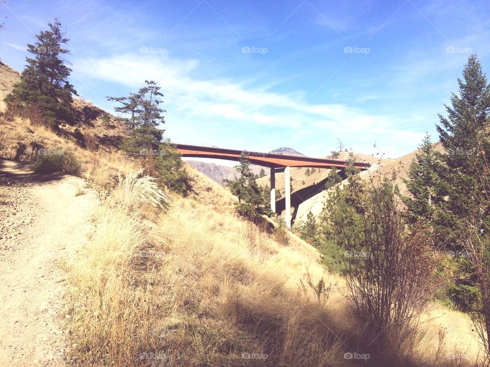 Scenic view of bridge at day