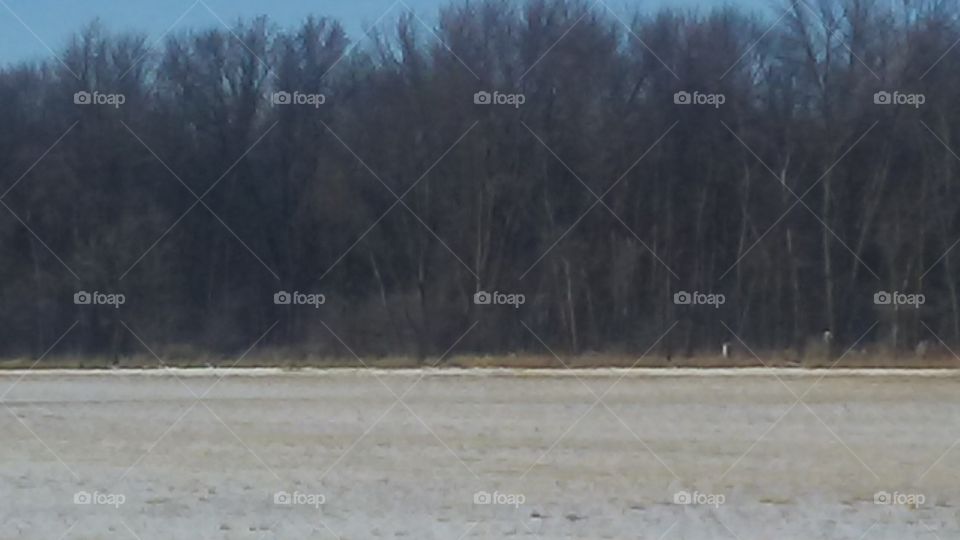 Landscape, Tree, No Person, Weather, Winter