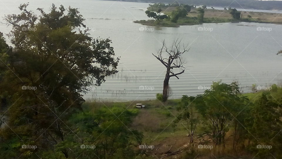 Table with Flooded Tree