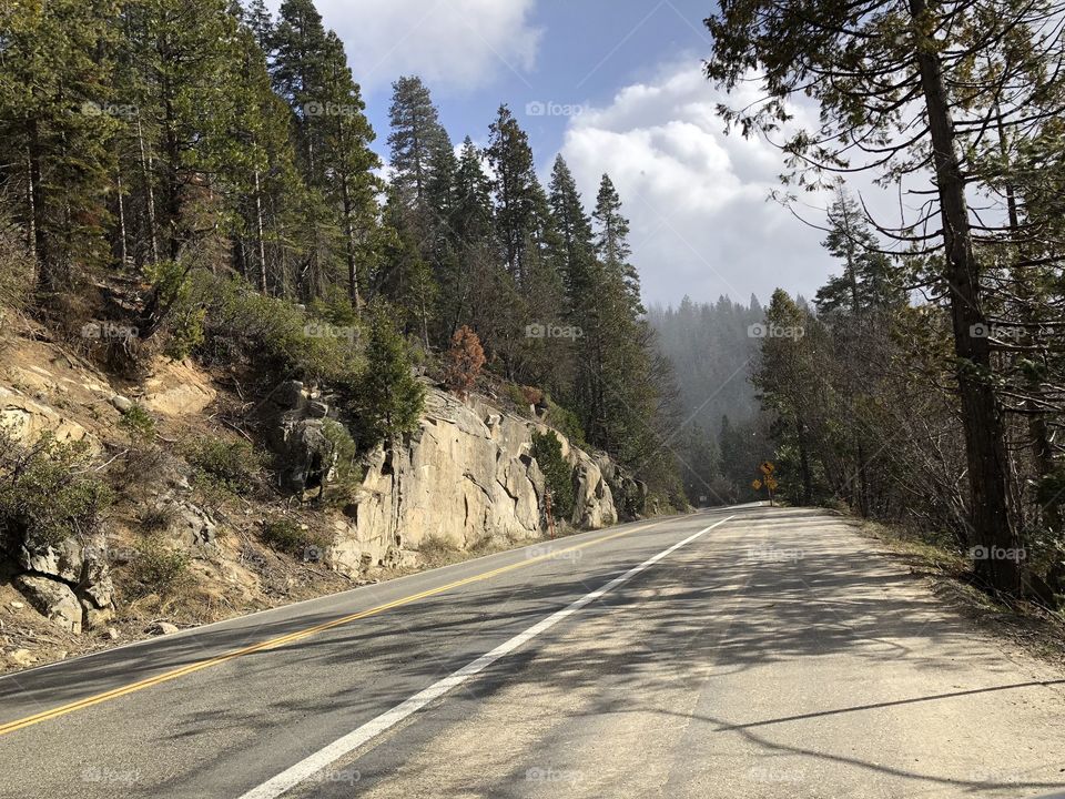 Road in the Sierra Nevada Mountains