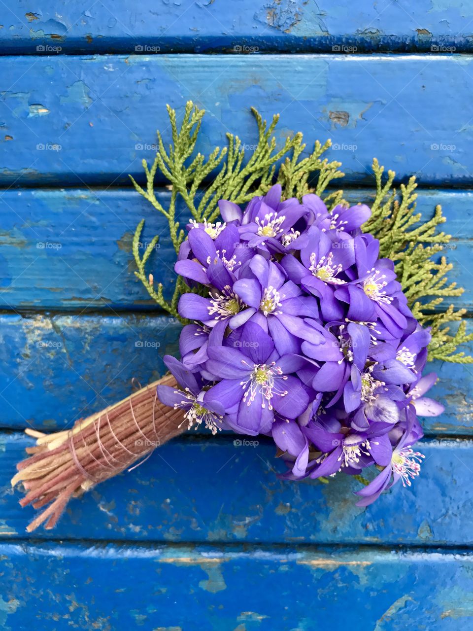 First spring flowers 