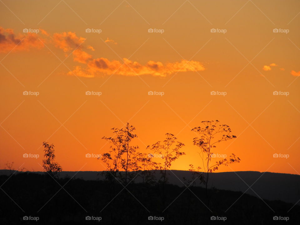 Scenic view of sunset