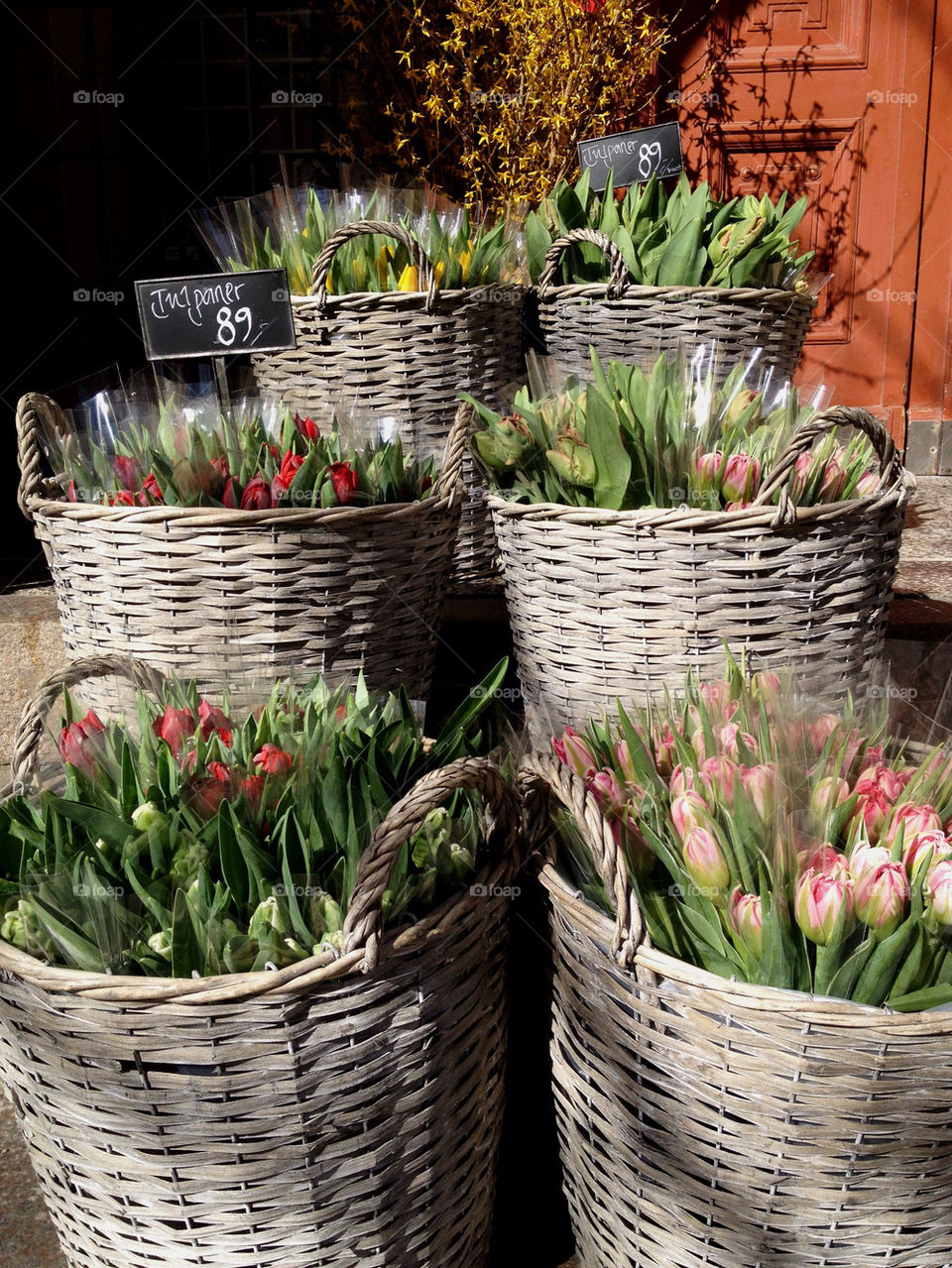 Tulip baskets.