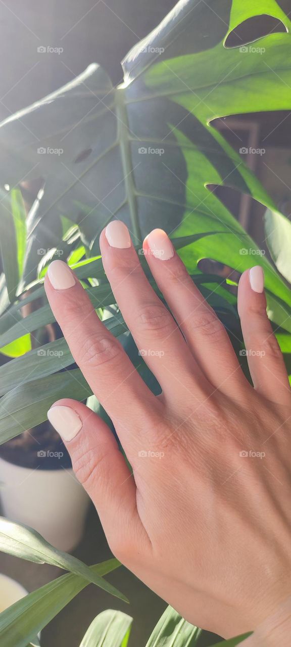 woman with white manicure near green leaves