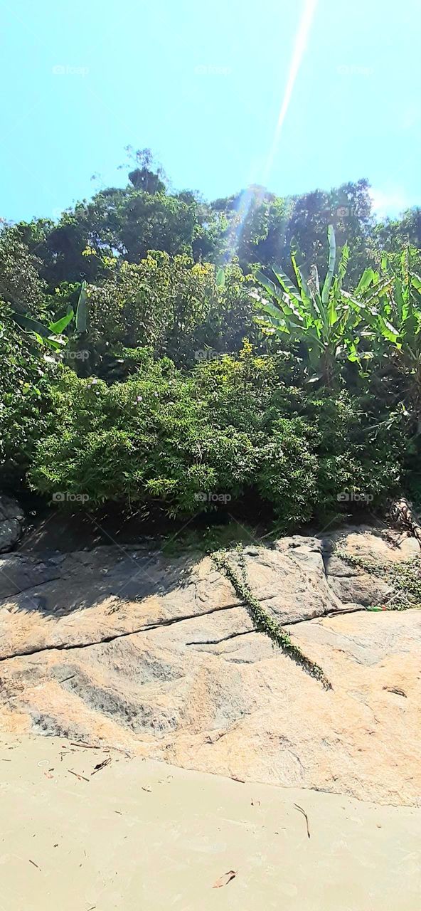 Perequê beach in the Guarujá city