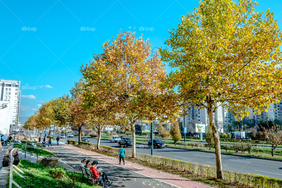 Autumn on Sarajevo's street