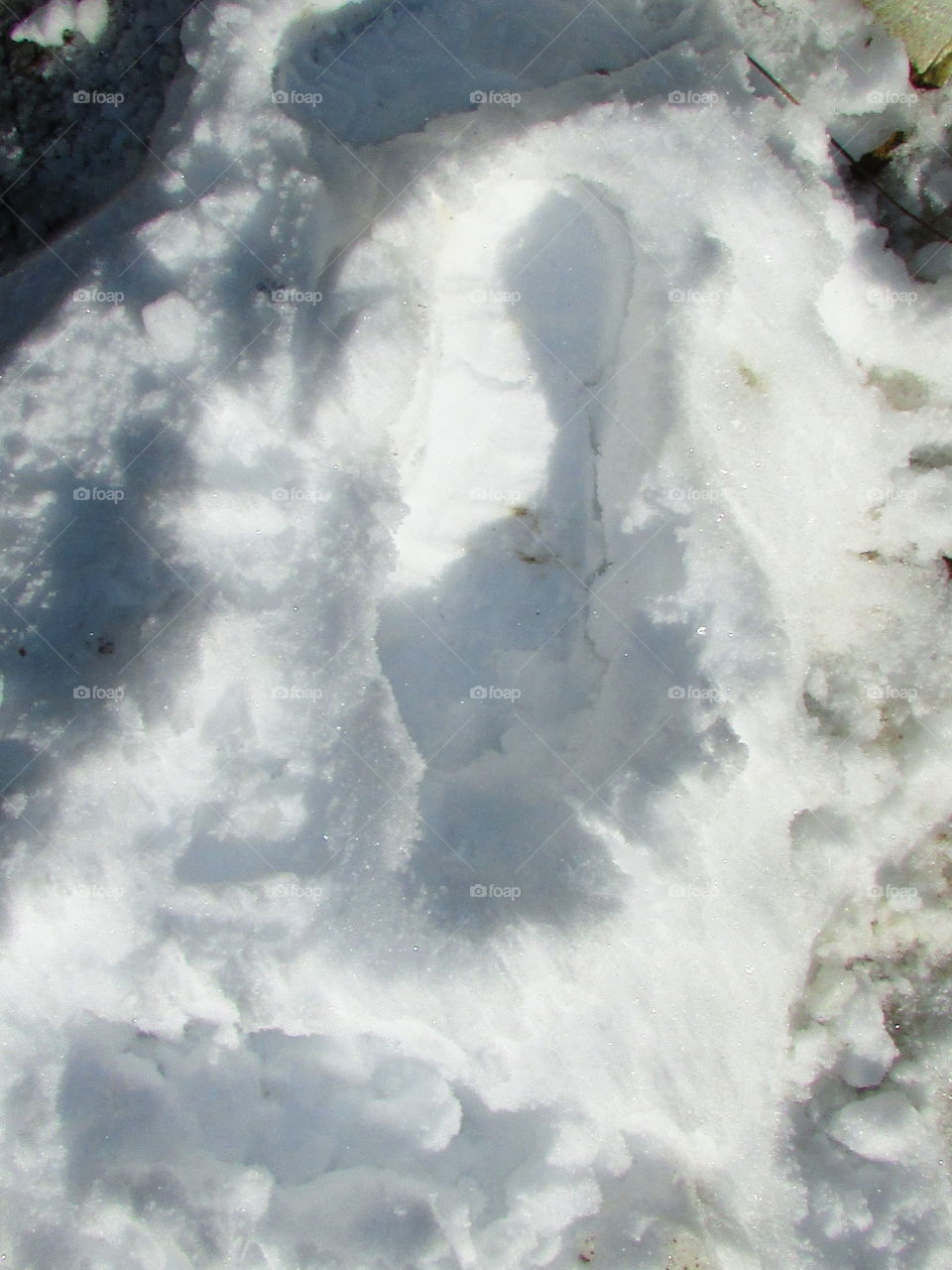 snow footprint
