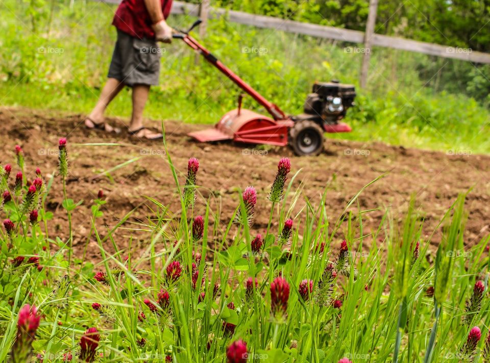 Getting The Garden Ready