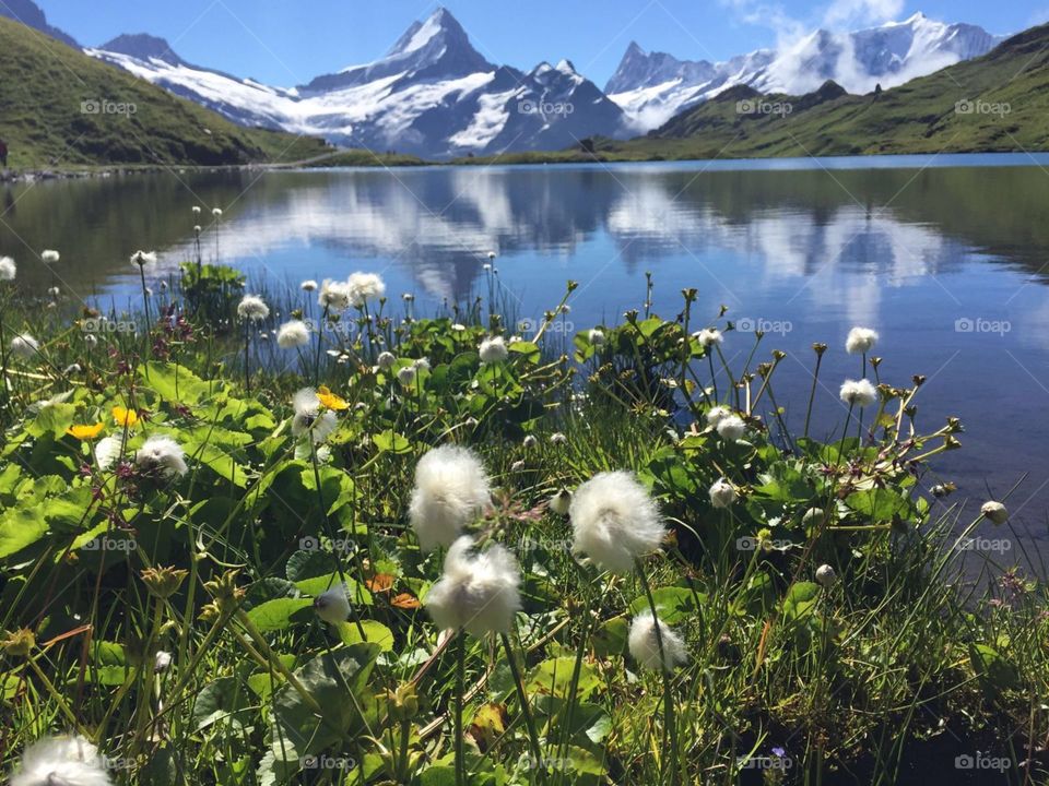 Summer in Switzerland 