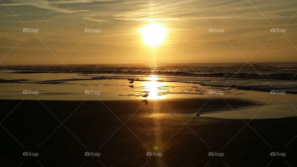 Sunset, Dawn, Sun, Water, Beach