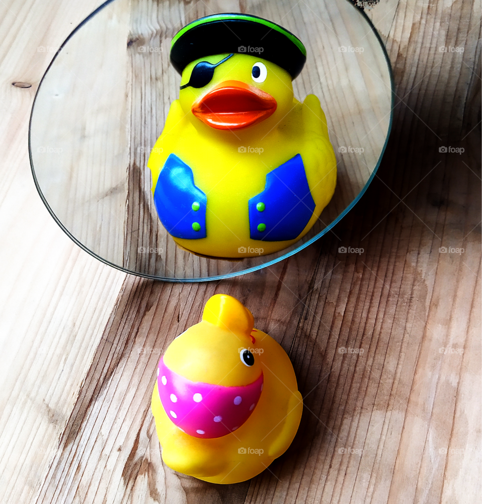 Reflection in the mirror of a duck