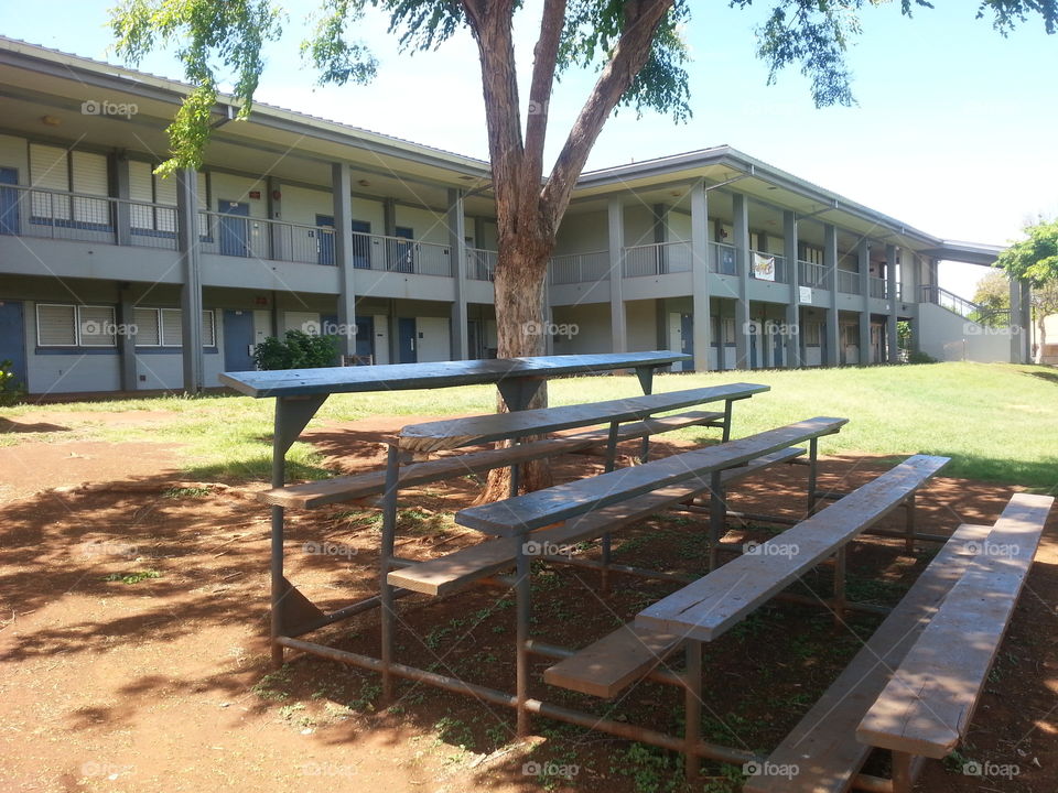 Home, House, No Person, Architecture, Yard