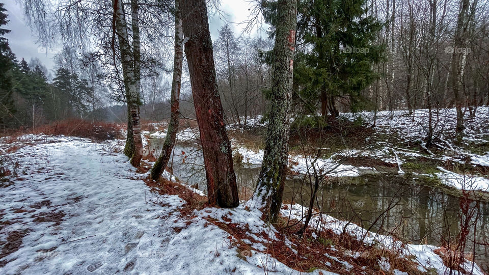 Winter landscape with small forest river