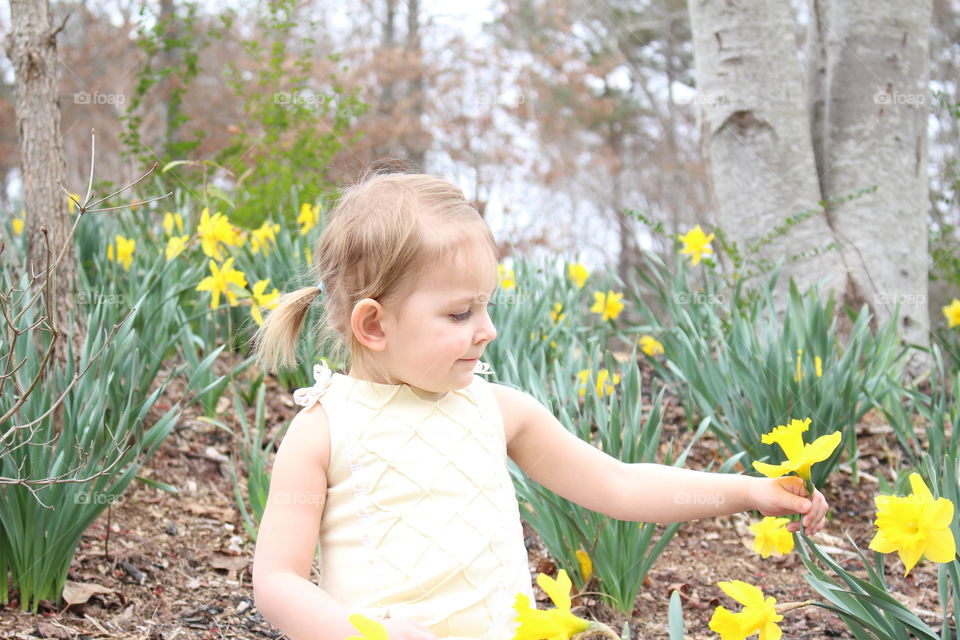 picking flowers