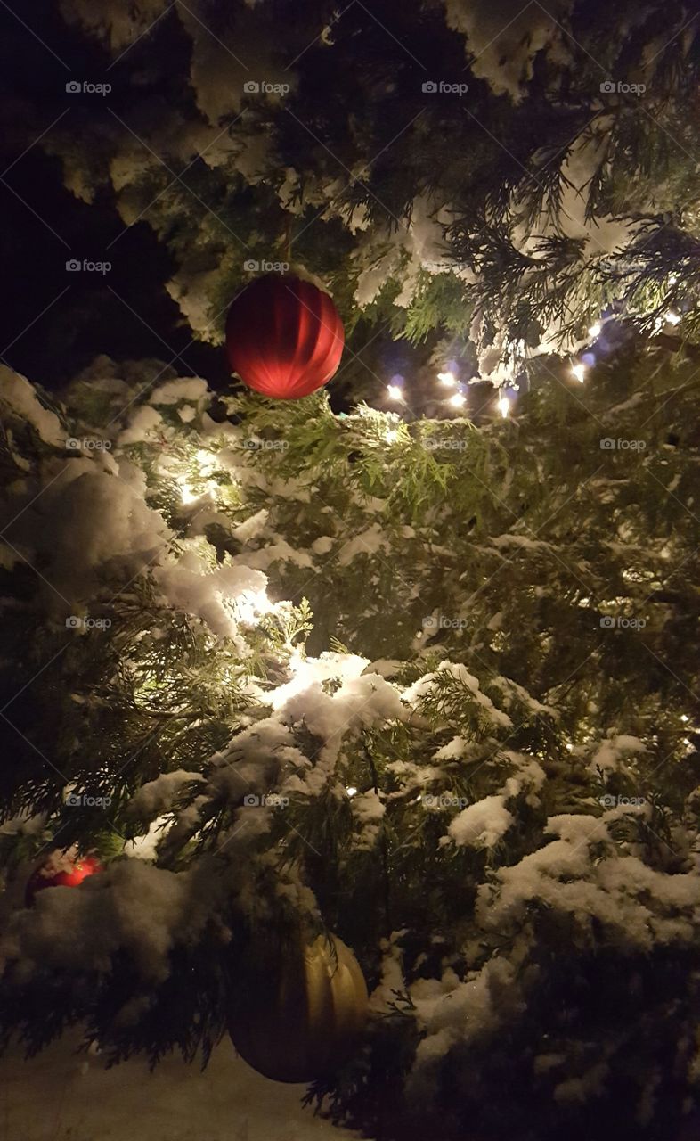 Outdoor tree ornaments at night