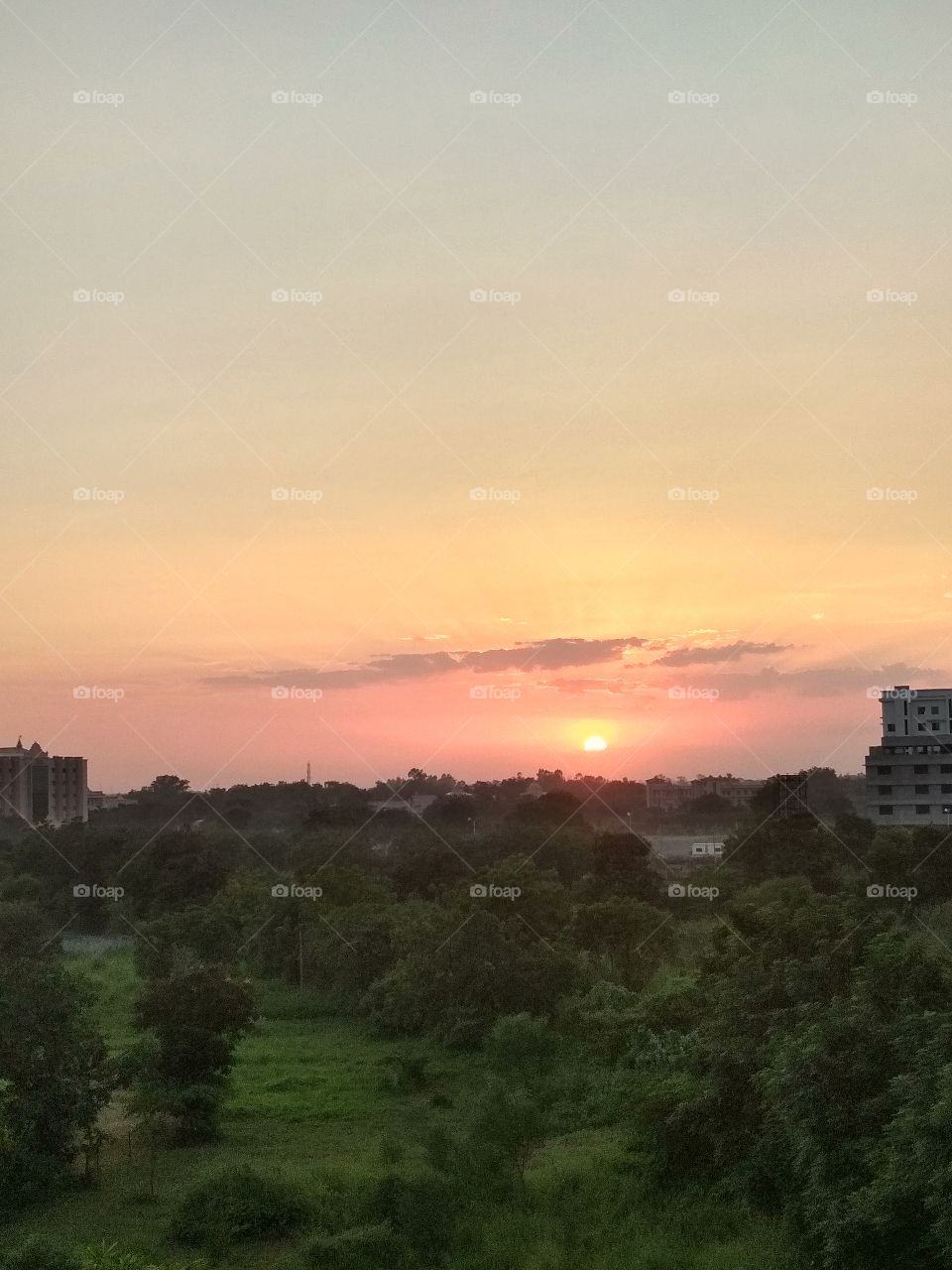 GOOD EVENING!!!!!!!!