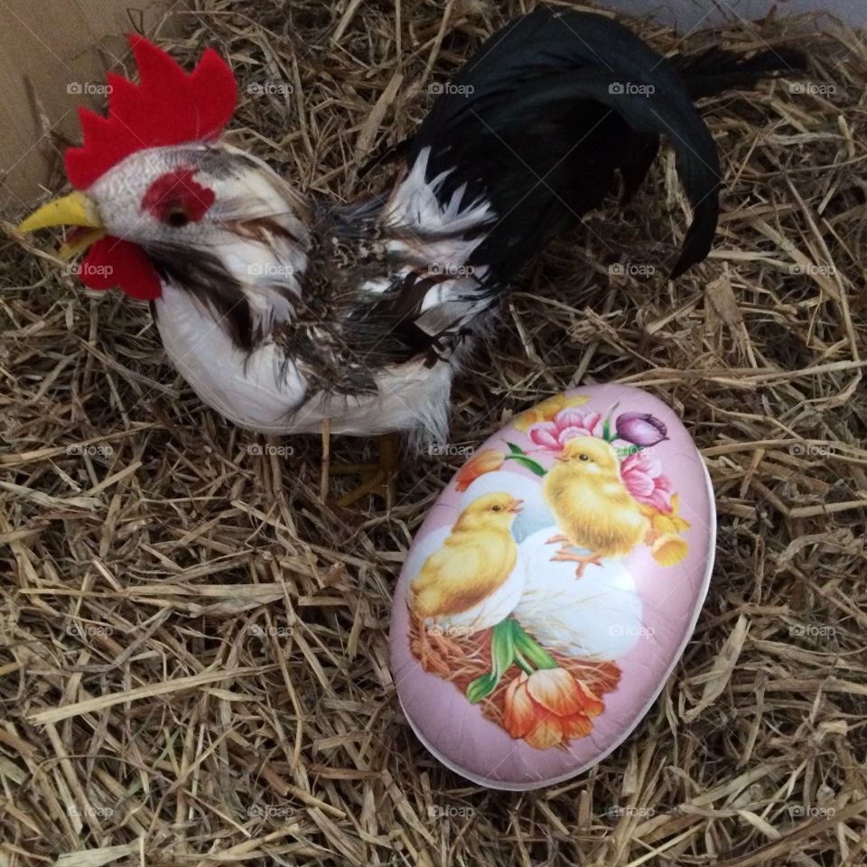 Easter chicken