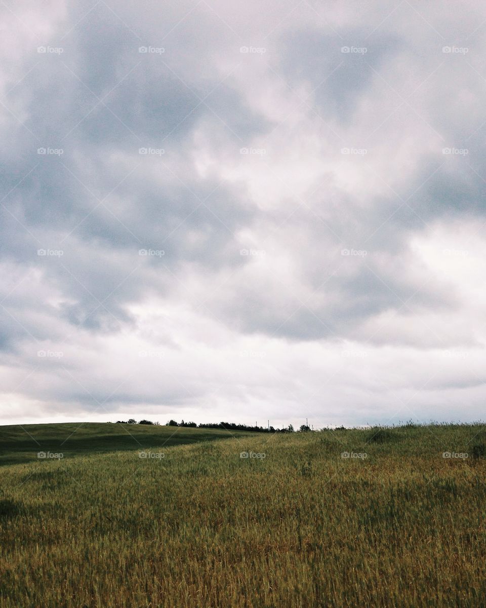 Storm in the fields