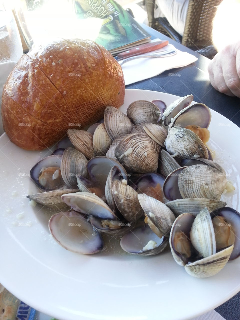 Steamers. Clams and bread