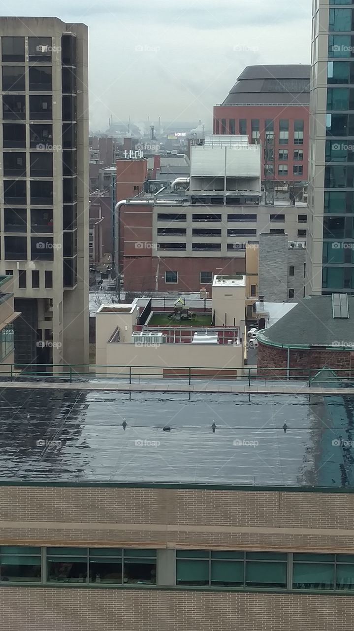 rooftop play yard