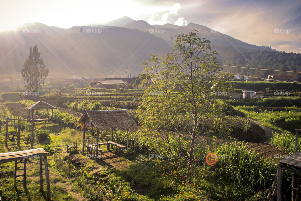 lereng gunung merbabu