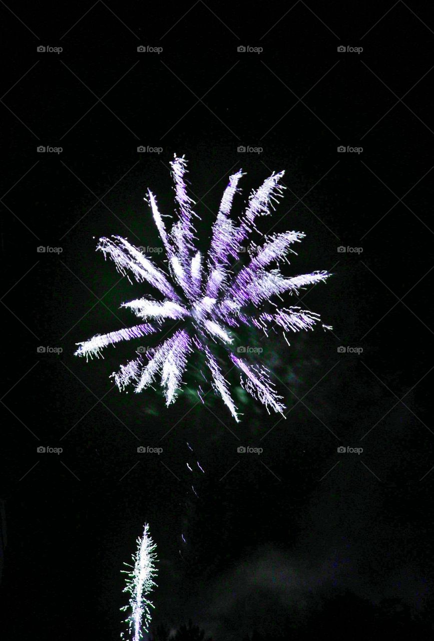 Fireworks display in sky at night