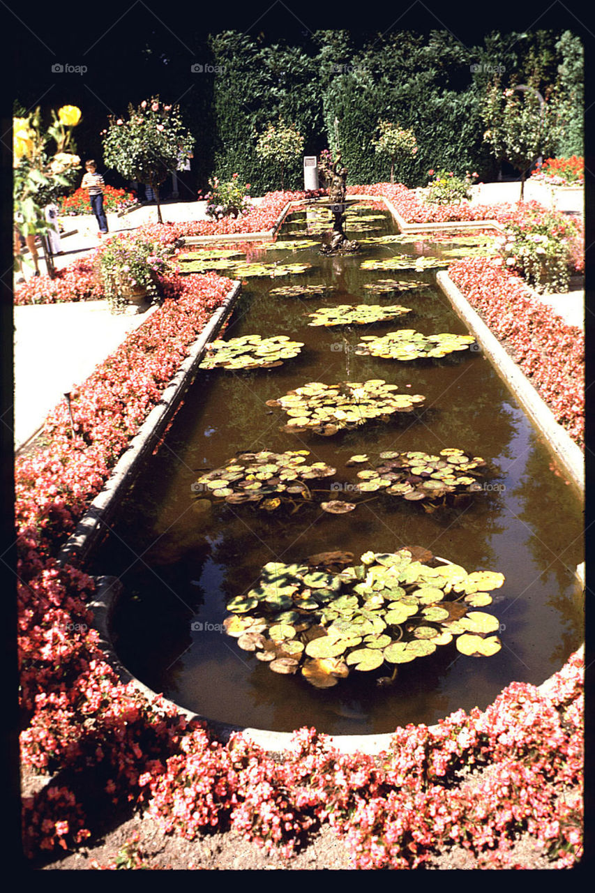 Buchart Gardens pond