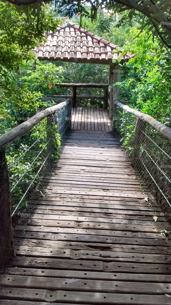 Vamos passear no Parque Botânico?
Uma mini-floresta muito bem cuidada!