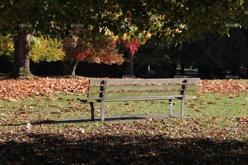 Empty bench